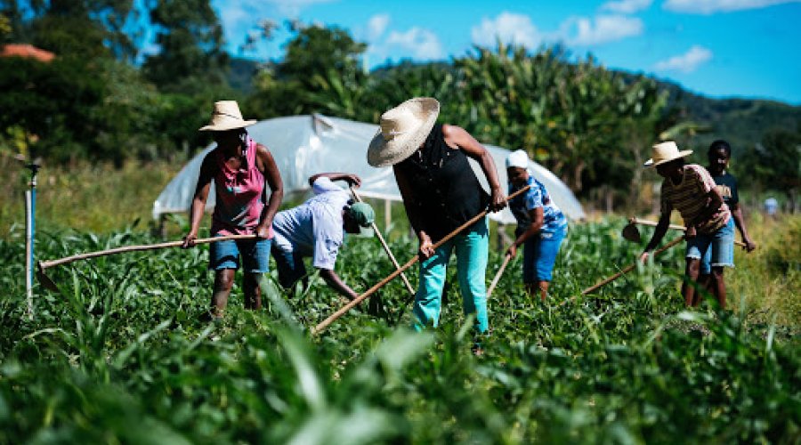 Descaso do governo com o pequeno agricultor - Sindicato dos Bancários da  Bahia!